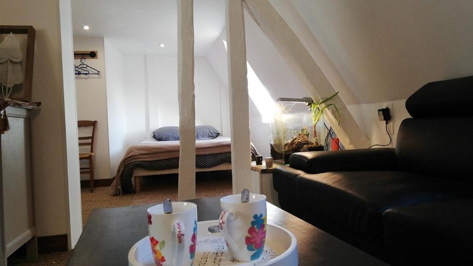 Bed and Breakfast La Belmontaise Beaumont-sur-Sarthe Exteriér fotografie